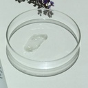 https://www.celmadekorea.com/wp-content/uploads/2023/06/SKU_2SBPWTY_54VQDBF_3.jpg