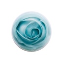 https://www.celmadekorea.com/wp-content/uploads/product_image/SKU_2JGLYDZ_3ZHHF26_4.jpg