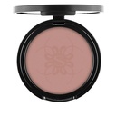 Shiny Powder Blush 2.8g