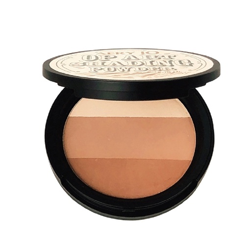 [SKU_J8X0TP_ZEM0MP] Arijo Op Art Pact Shading Powder 10g