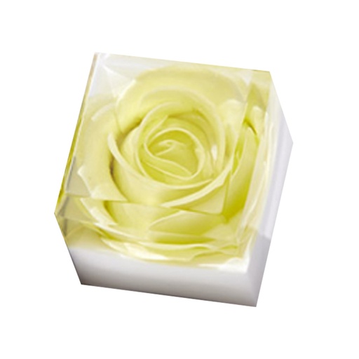 [SKU_2JGLYAI_3ZHHEJ4] Pla Pla Cubic Flower Cleansing Handmade Soap Pastel Green