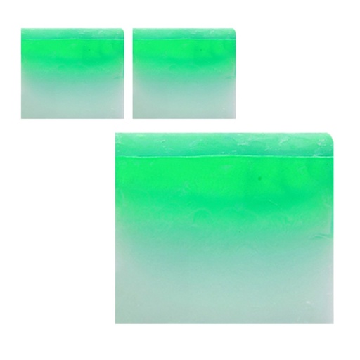 [SKU_1GXN07_4LH6NJ] Provence By Monsac Rosemary Mink Soap